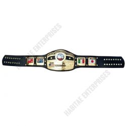 NWA Dom Globe World Heavyweight Champion Wrestling Belt 4mm in Zinc & 24K Gold
