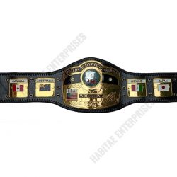 NWA World Heavyweight Champion Wrestling Belt