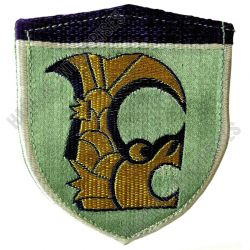 WW2 Imperial Japanese Army 10th division Transportation Badge Patch